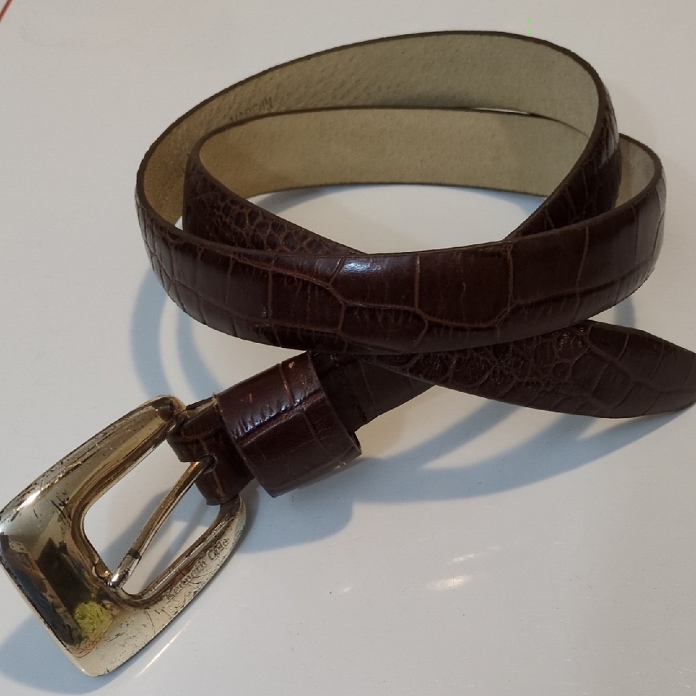 Brown Leather Textured Belt with Silver Tone Buckle Large